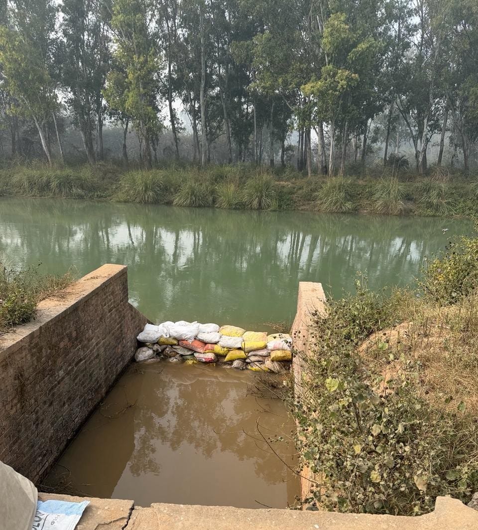 200 acres of wheat crop submerged in canal water