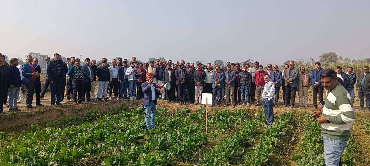 A cane harvester was demonstrated at the sugarcane research farm.