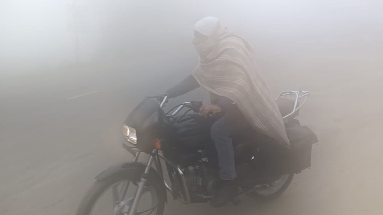 Sunshine shines amidst severe cold, relief comes after fog