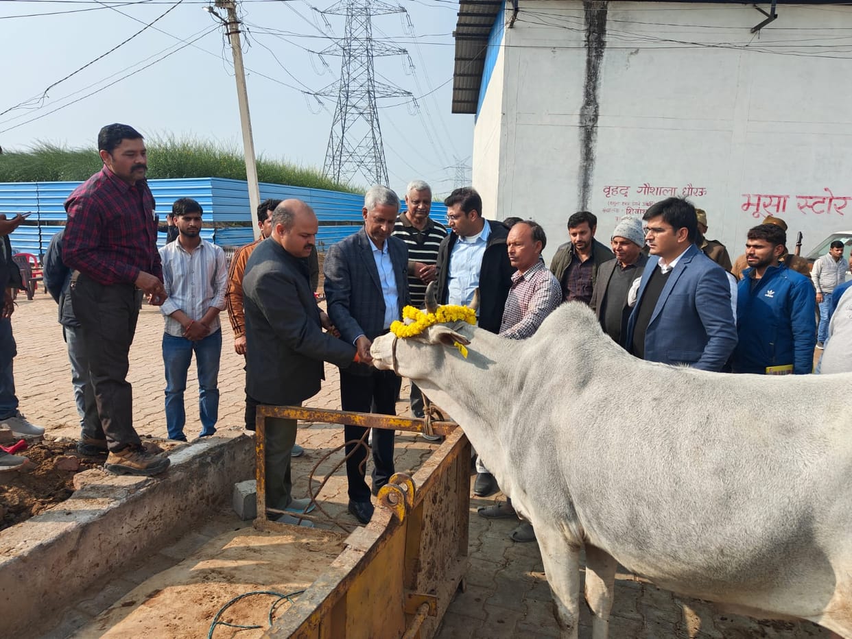 Cowshed cameras will be connected to the mobile phones of officials.