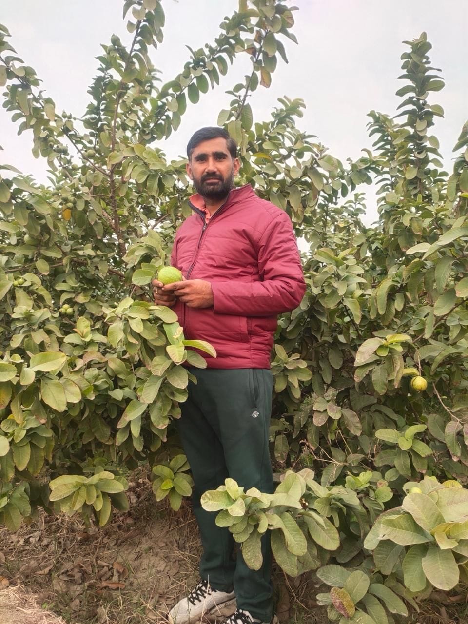 Surender Shyokand is saving Rs. 20 lakh every year through horticulture.