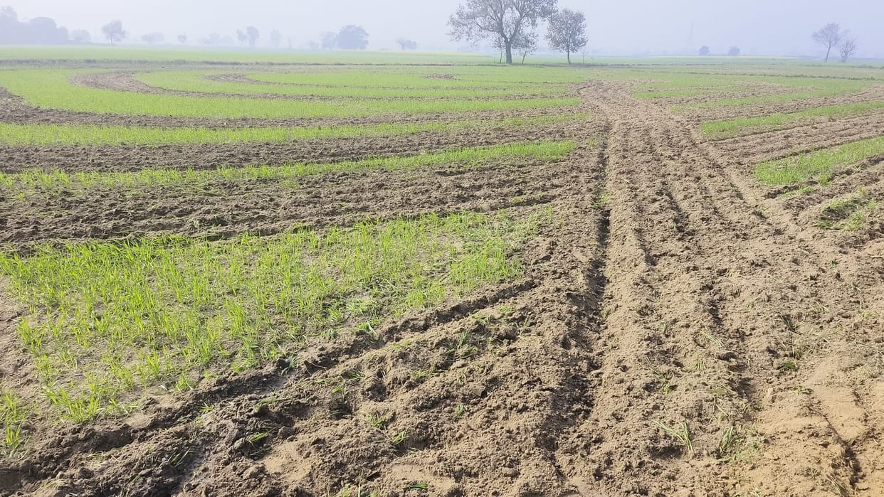 Accused of destroying crops with a tractor and trying to run over a tractor