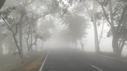 IMD Alert: Cold Wave Continues in Rajasthan, Rain Likely Soon