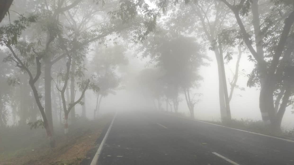IMD Alert: Cold Wave Continues in Rajasthan, Rain Likely Soon