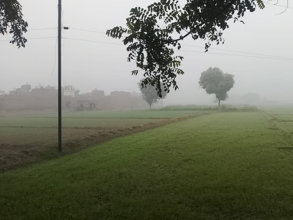 Cold wave grips industrial city, minimum temperature hovers around 2 degrees Celsius