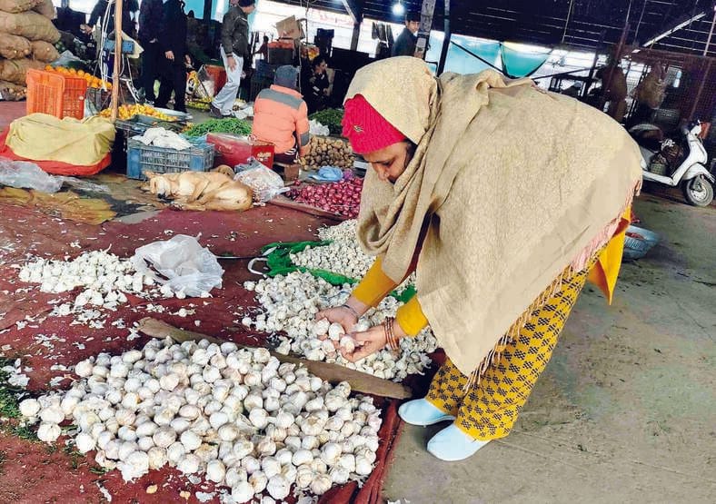 The prices of garlic and chili are sharp and won't decrease yet; the prices of tomatoes too, with garlic being less available and in higher demand during winter, are rising.