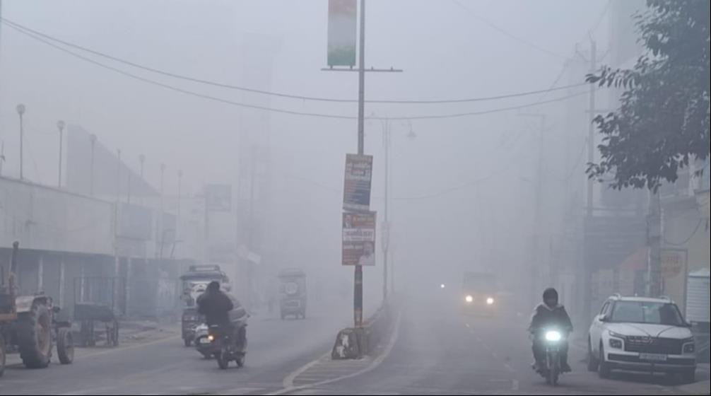 Weather remained chilly due to fog and frost