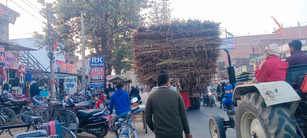 Overloaded sugarcane trailers are proving difficult to control.