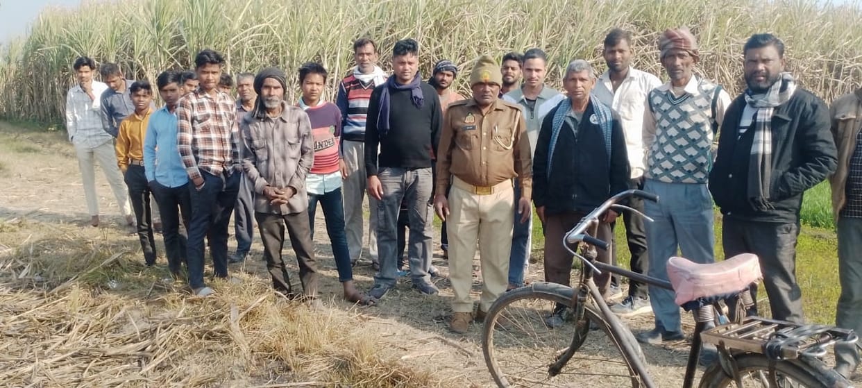 A woman cutting sugarcane was confronted by a tiger and escaped