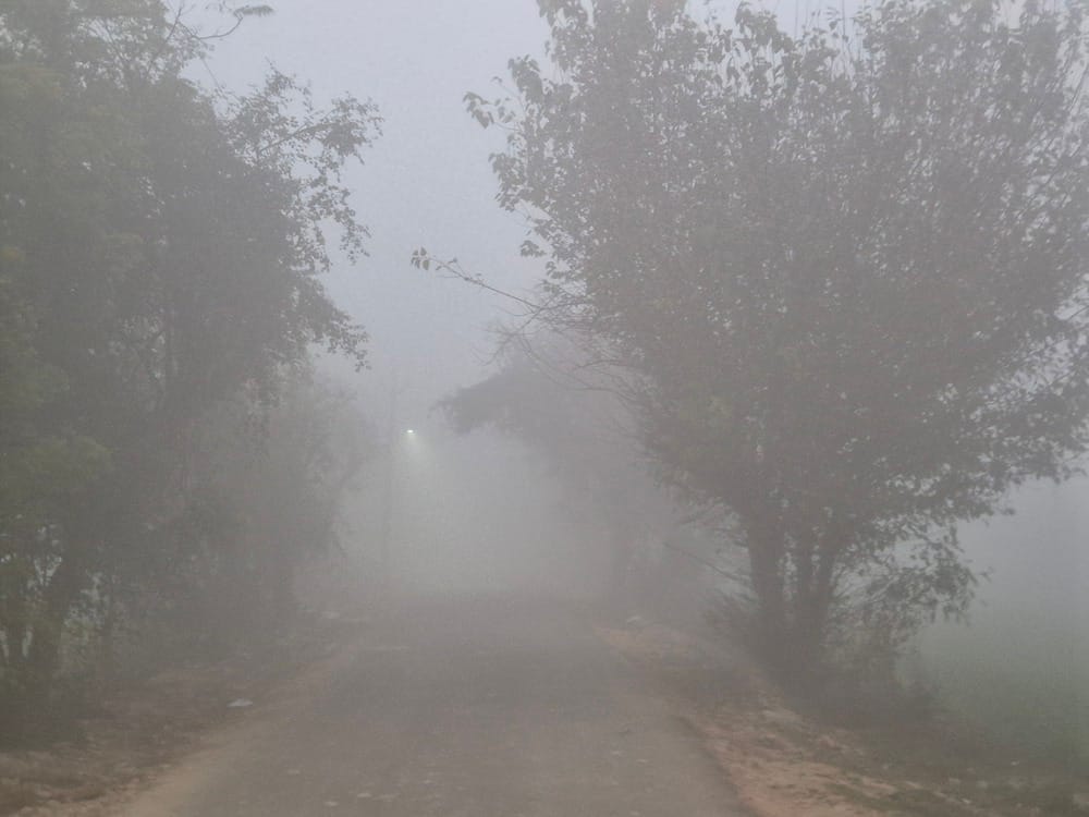 Temperatures below four degrees for three days, cold wave and fog continue to wreak havoc