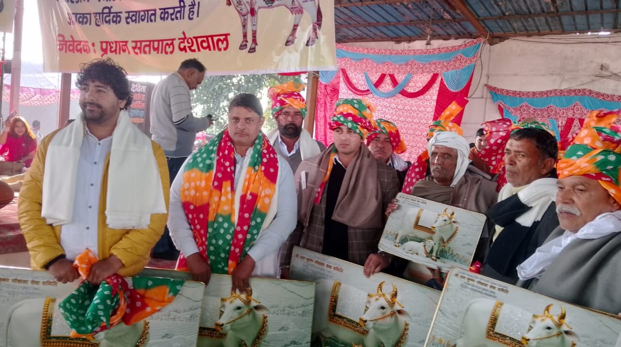 Donors donated to the cow shelter