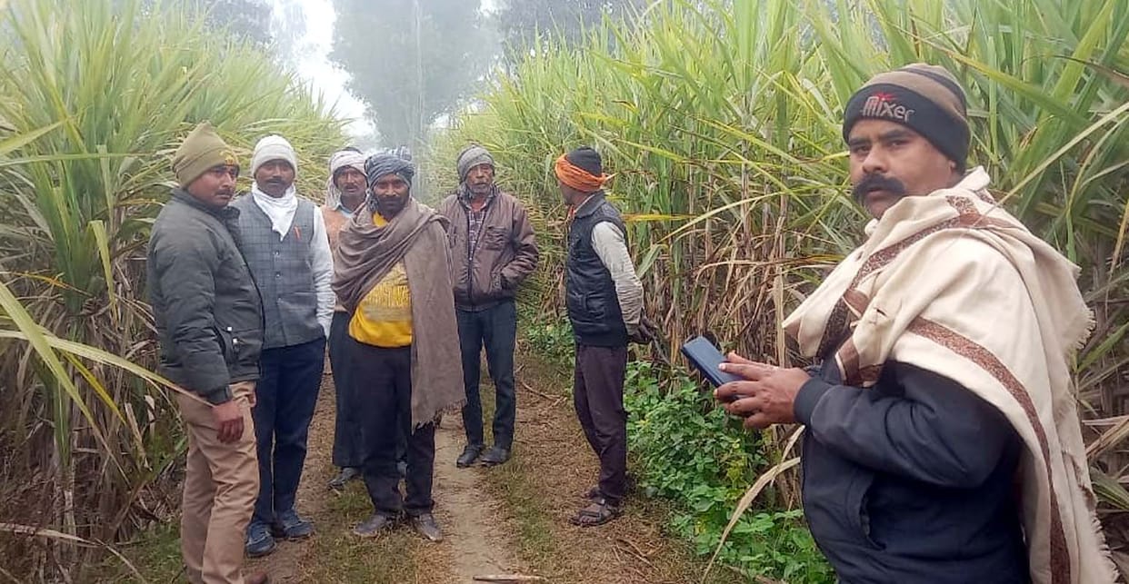 Now a tiger has been spotted roaming near the government tubewell in Himanchalpur...farmers are terrified.