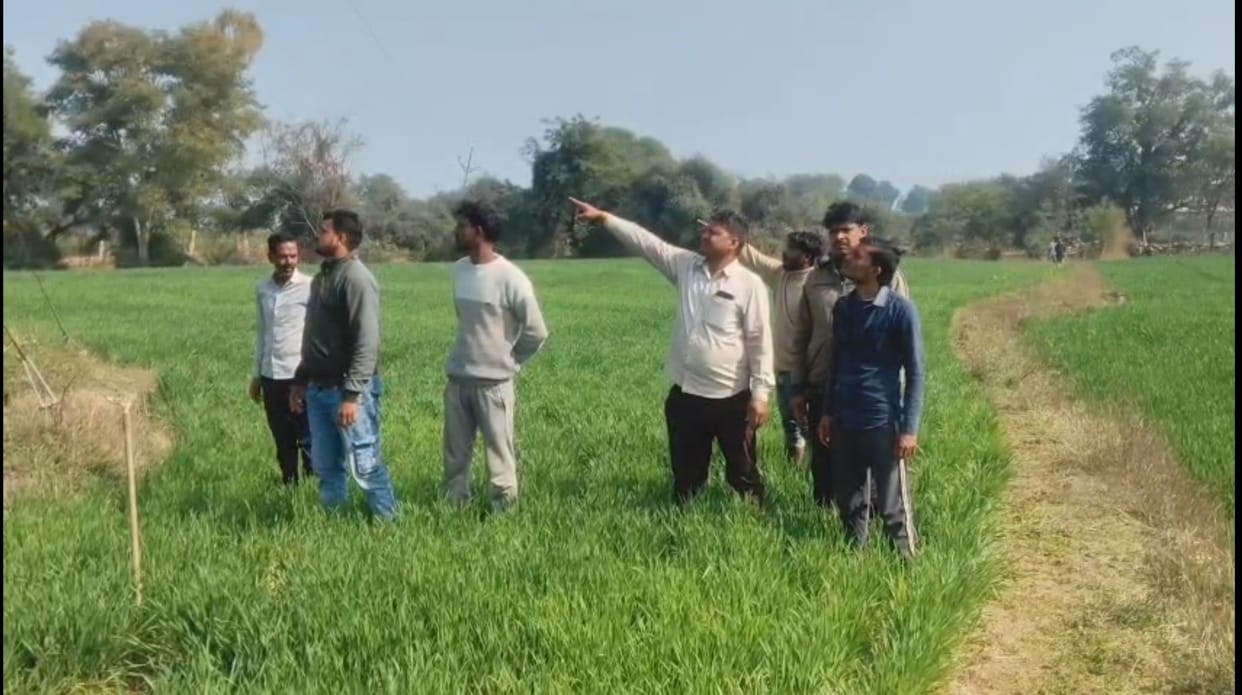 Sagar News: A young farmer died after being electrocuted.