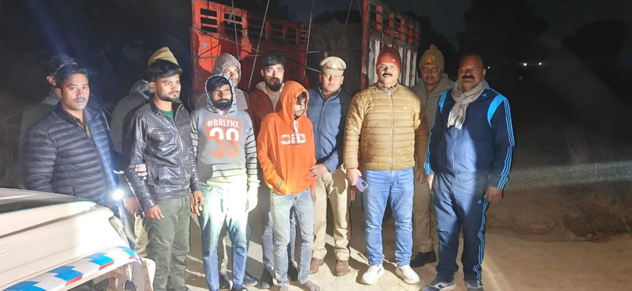 Two criminals injured in a police encounter during a buffalo theft case, seven arrested