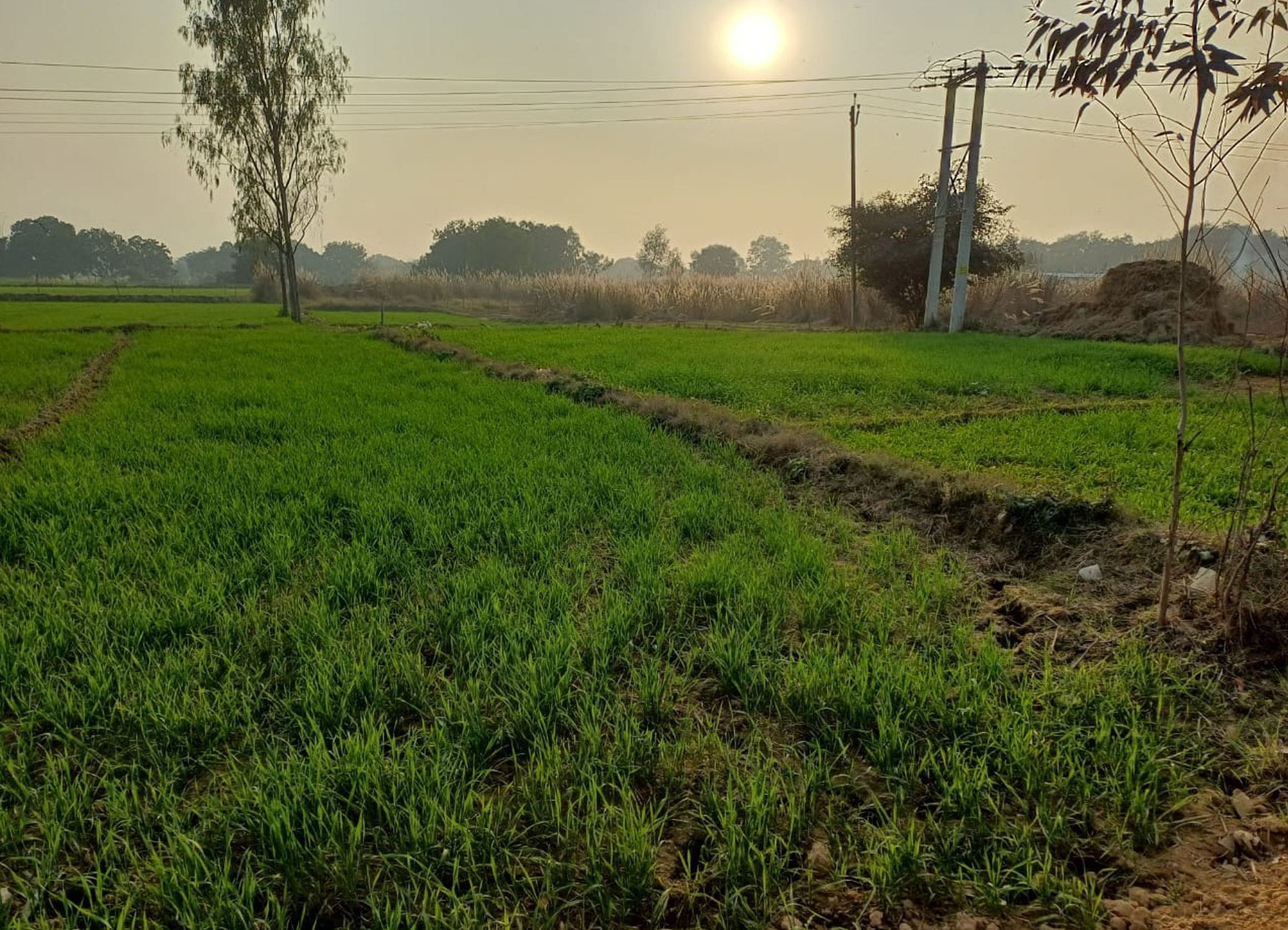 जमीनों की रजिस्ट्री पर रोक( सांकेतिक)