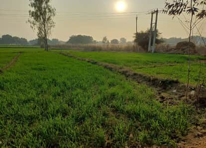 Land purchase and sale in 12 villages has been banned in view of the Gorakhpur-Siliguri Expressway.