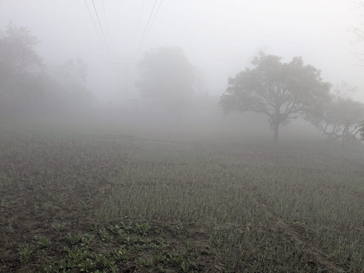 Fog engulfs BBN, poor visibility adds to drivers' woes