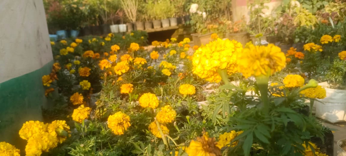 The flower market was fragrant in the winter.