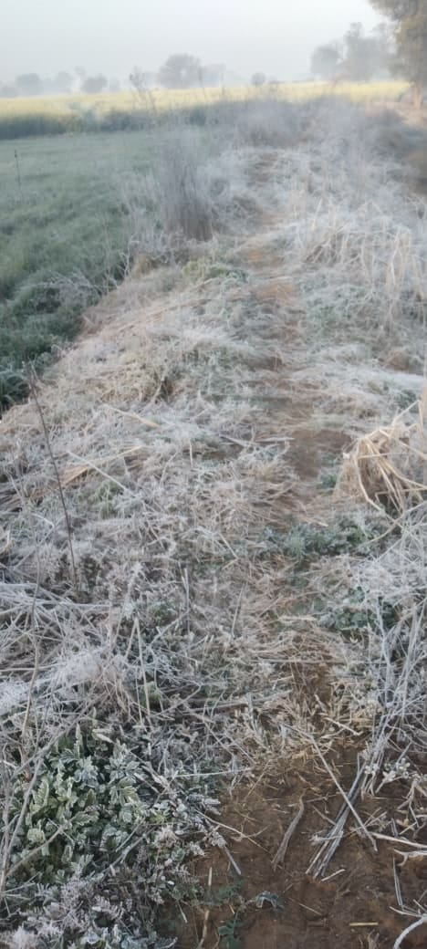 The morning sun was overcome by the cold frost.
