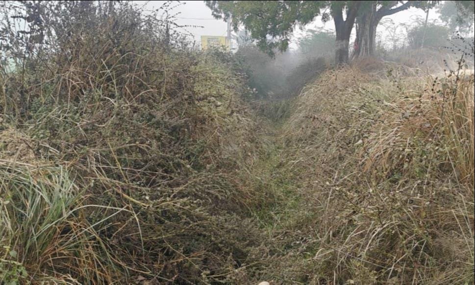 1.24 crore rupees spent, yet canals are filled with garbage and weeds