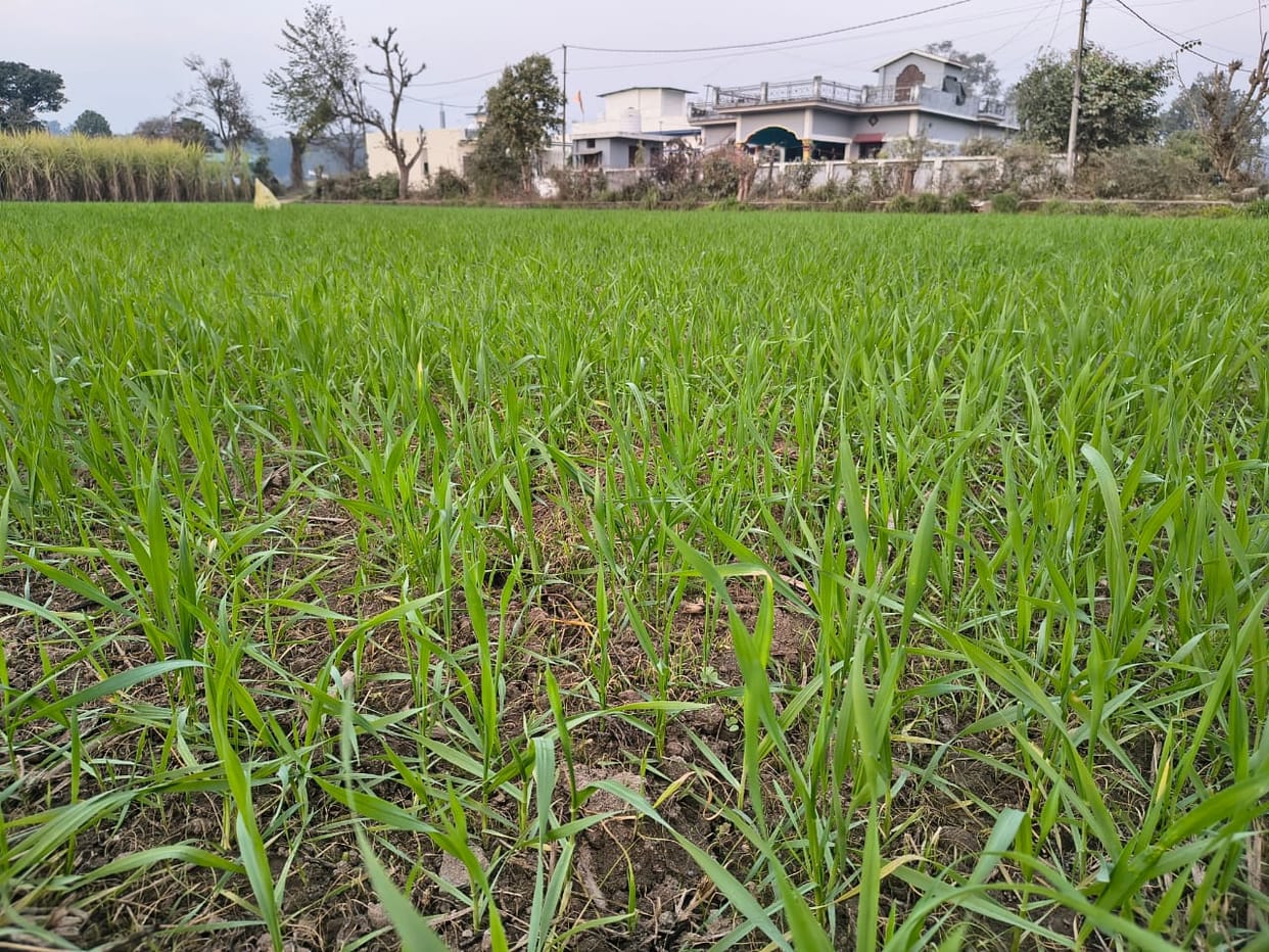 february heat hits 27 major cities temperatures above normal risk to rabi crops increases