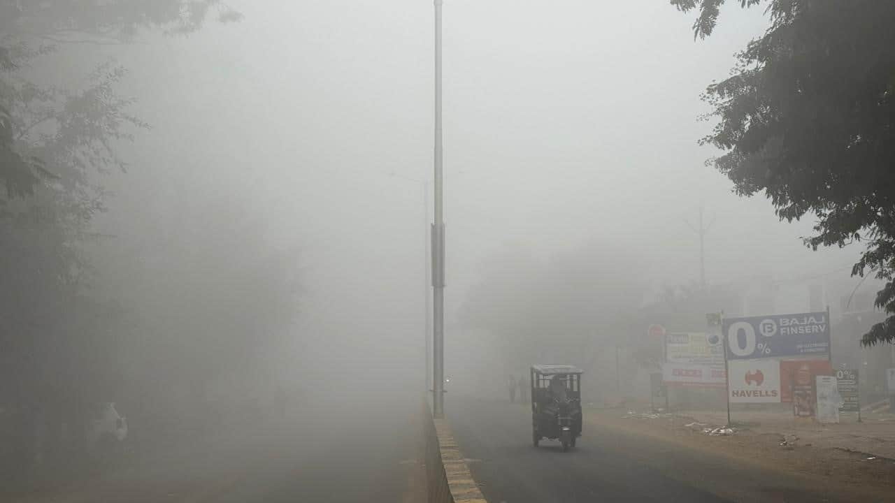 कोहरा। सांकेतिक तस्वीर।