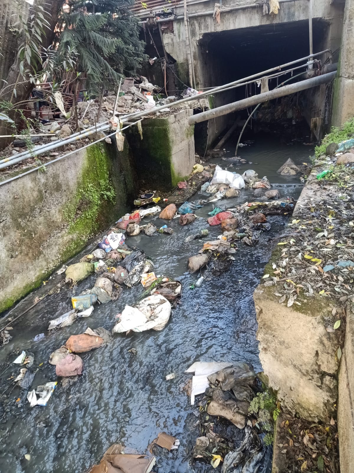 Claims of cleanliness are proving to be hollow in reality