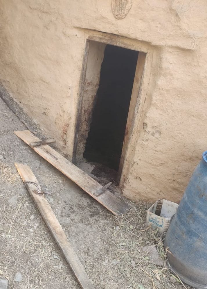 A bear broke into a cowshed and killed a cow