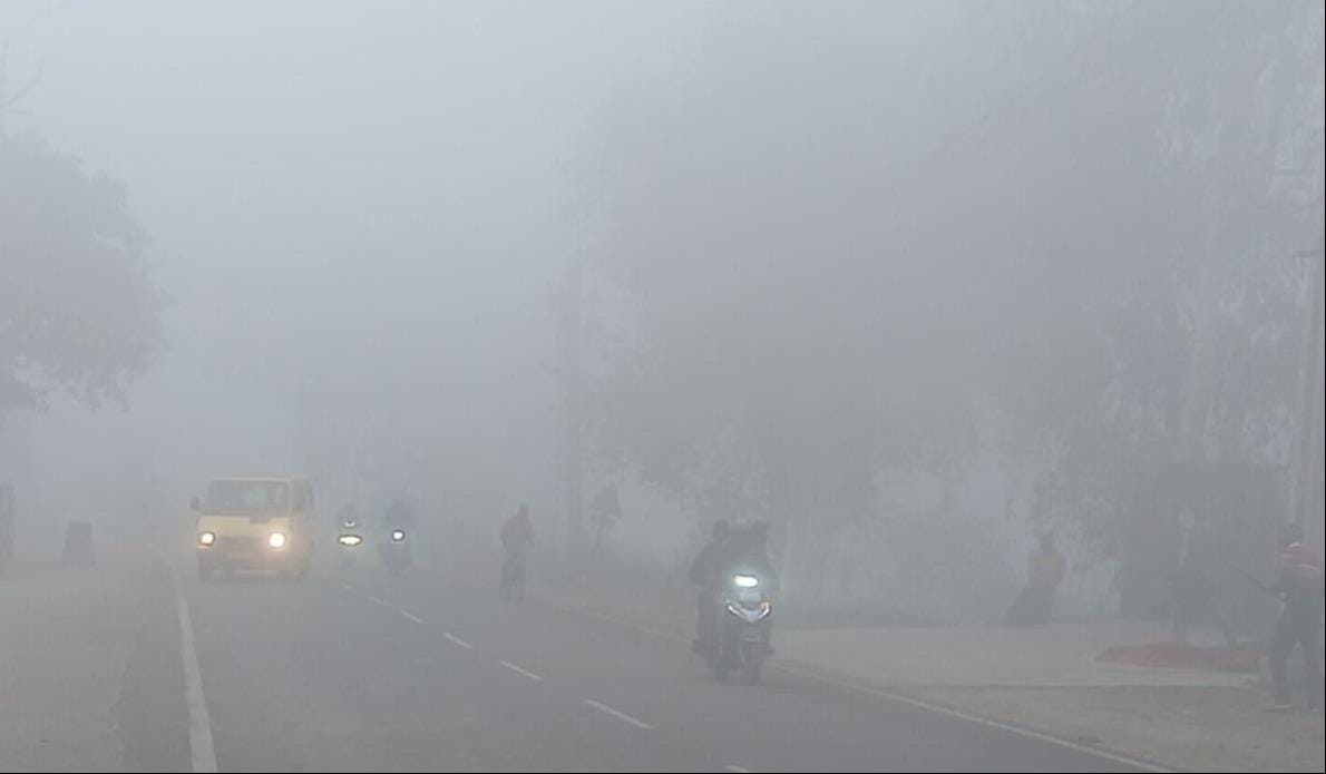 District wrapped in dense fog, people shivered due to cold wave