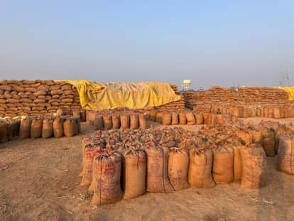 Paddy procurement in Dhamtari district, purchase worth more than Rs 1182 crore,