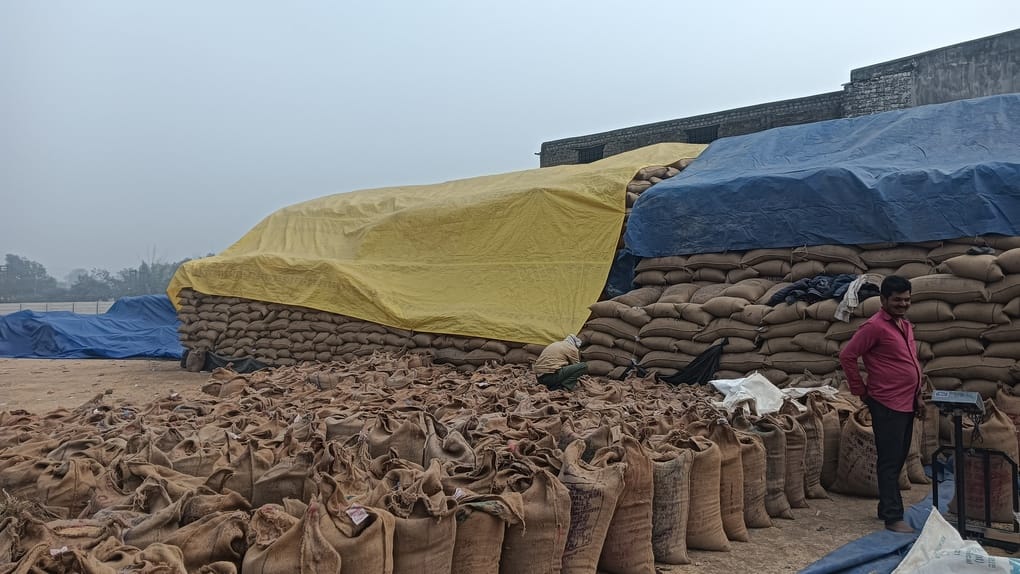 धान उपार्जन केंद्र में रखी धान
