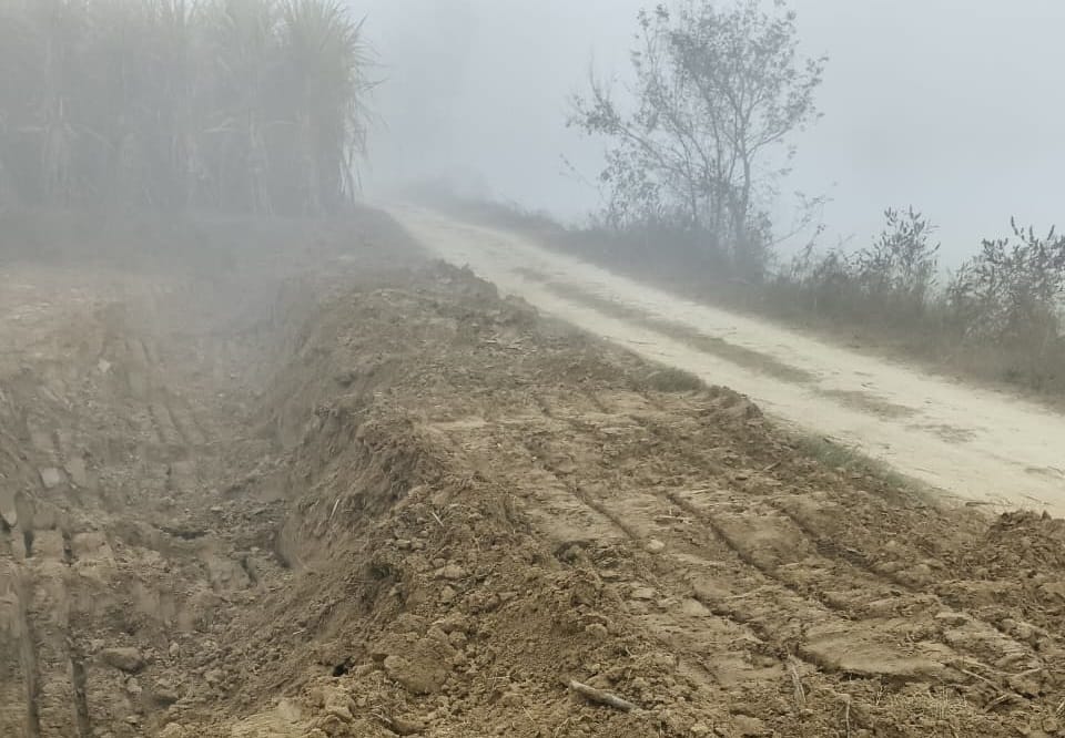 Forest department bans construction of road without permission