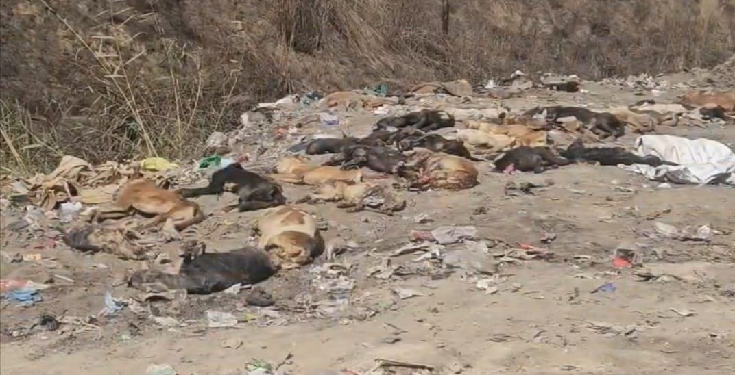 The municipal corporation has sent a notice to the Nain Foundation seeking a response.