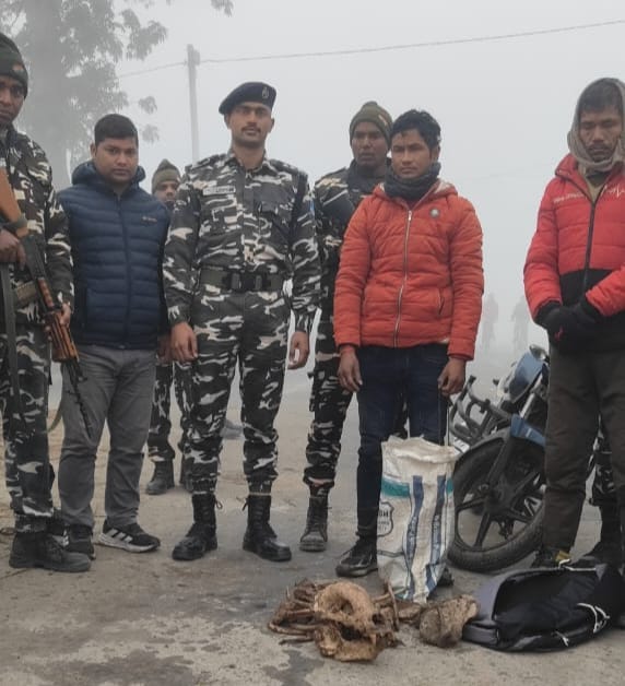 Bettiah bihar news Two smugglers arrested with bear bones from VTR police investigation today news