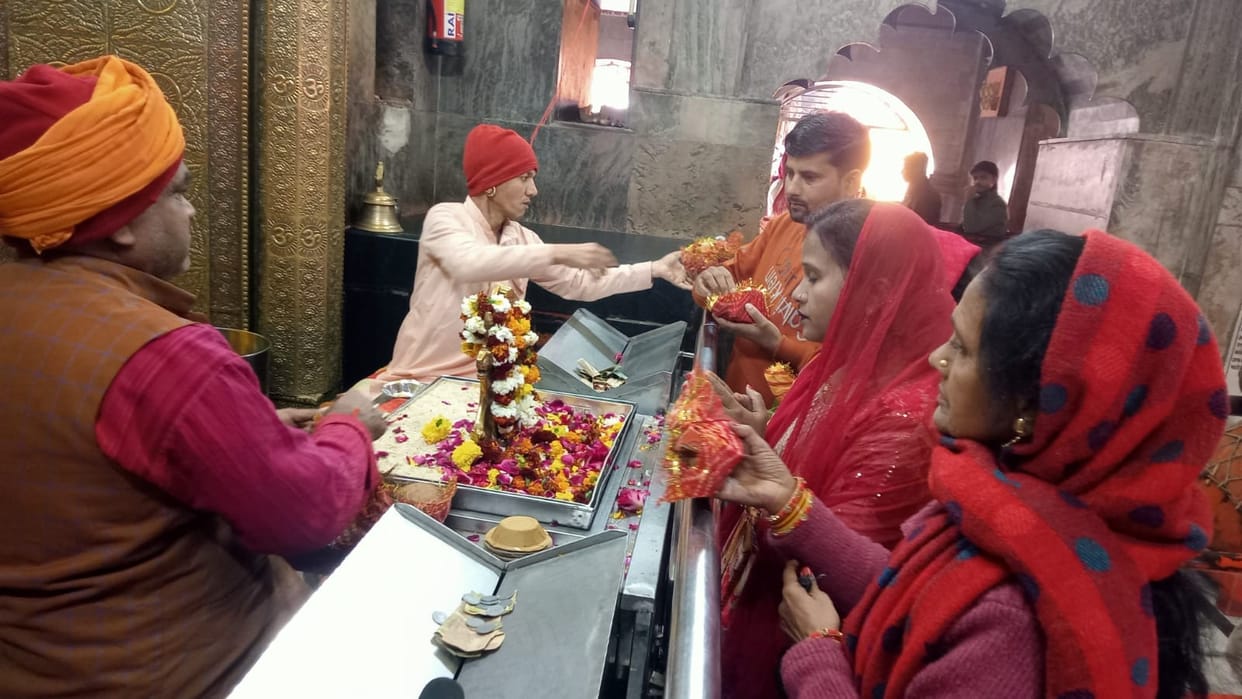 Makar Sankranti festival celebrated with joy and enthusiasm