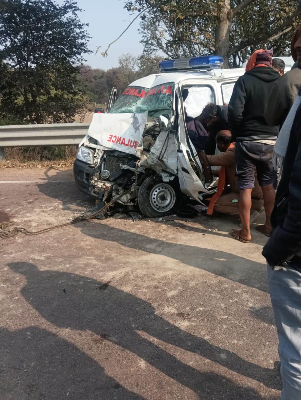 A small elephant hit an ambulance, 1 dead, 5 injured.