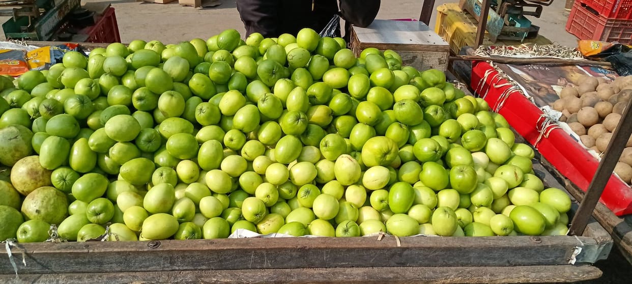 The demand for apple ber from Madhya Pradesh has increased in the local market.