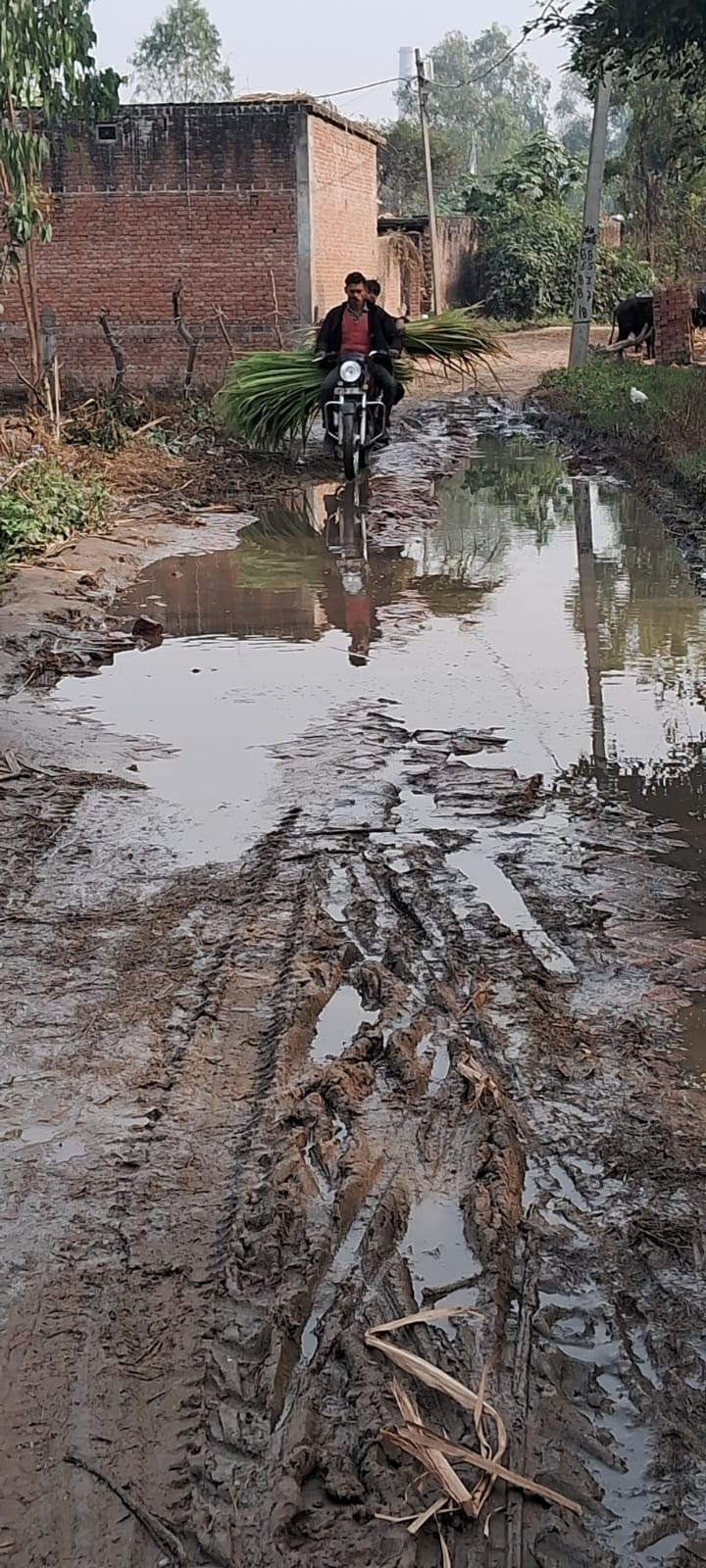 Problem: Neither tank water was available nor the dug up roads were repaired.
