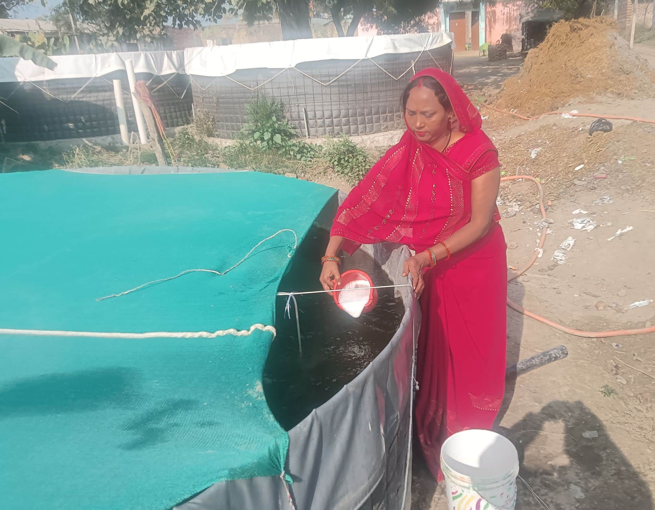 मछलियों को चारा डालती रामनगर ब्लॉक के डांडियामऊ निवासी विजय लक्ष्मी सिंह।