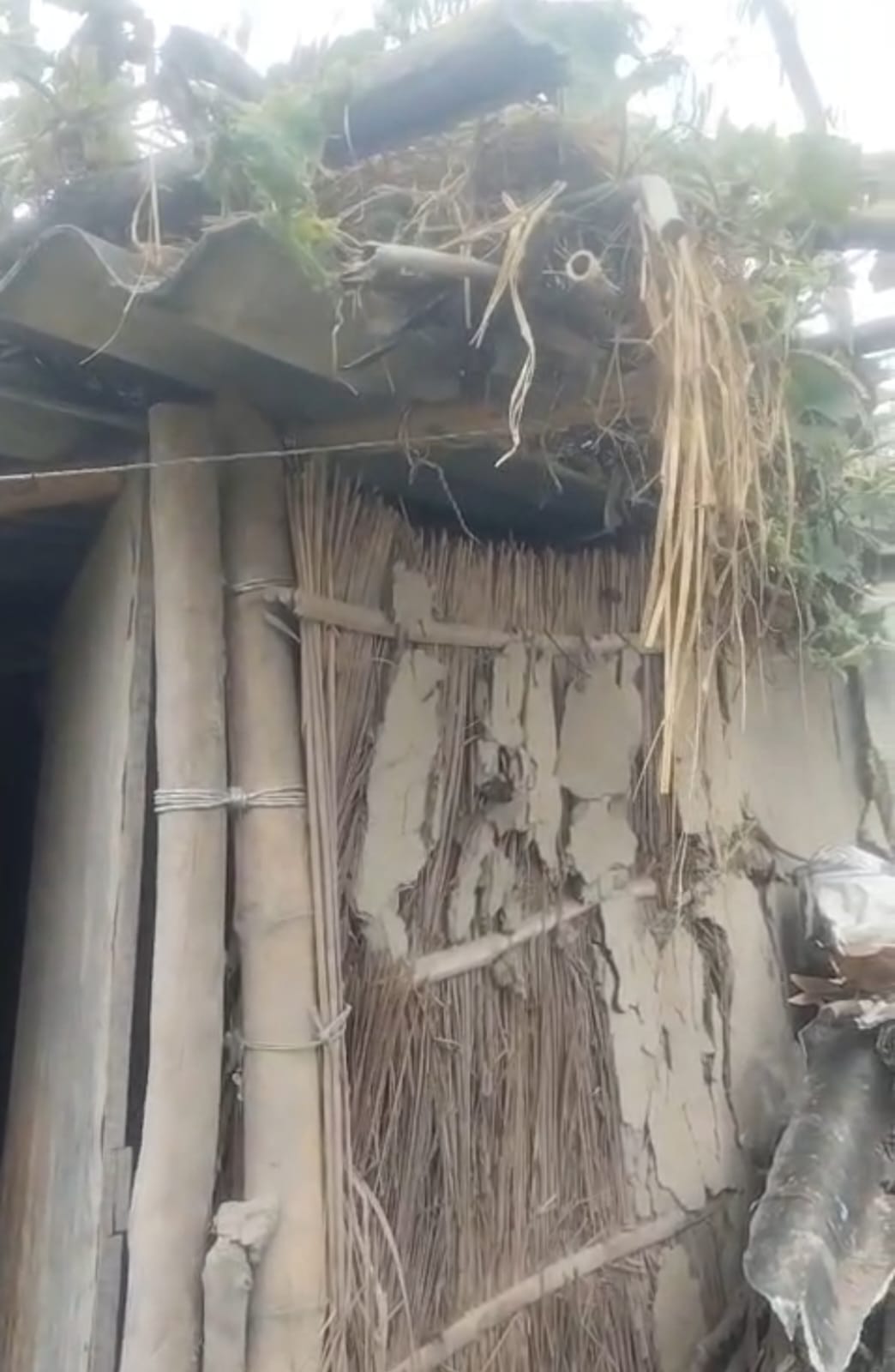 Elephants created havoc, destroyed huts, demolished boundary walls and pillars.
