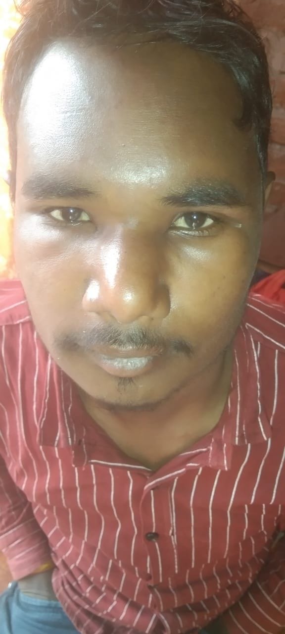Bees attack young men in the field