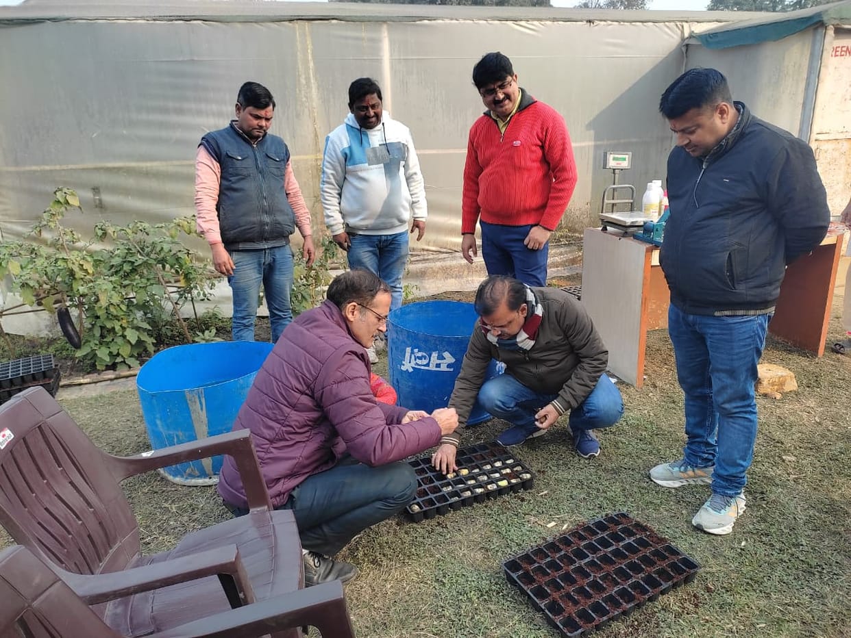 To. Preparation for 2.50 lakh single bud settling of 0118 started