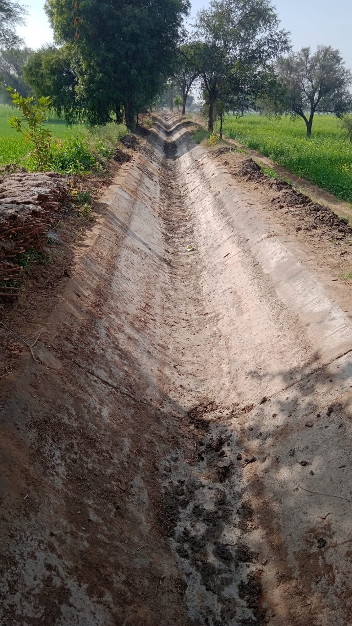 Start irrigation using canal water supply from the 22nd of the month onwards.