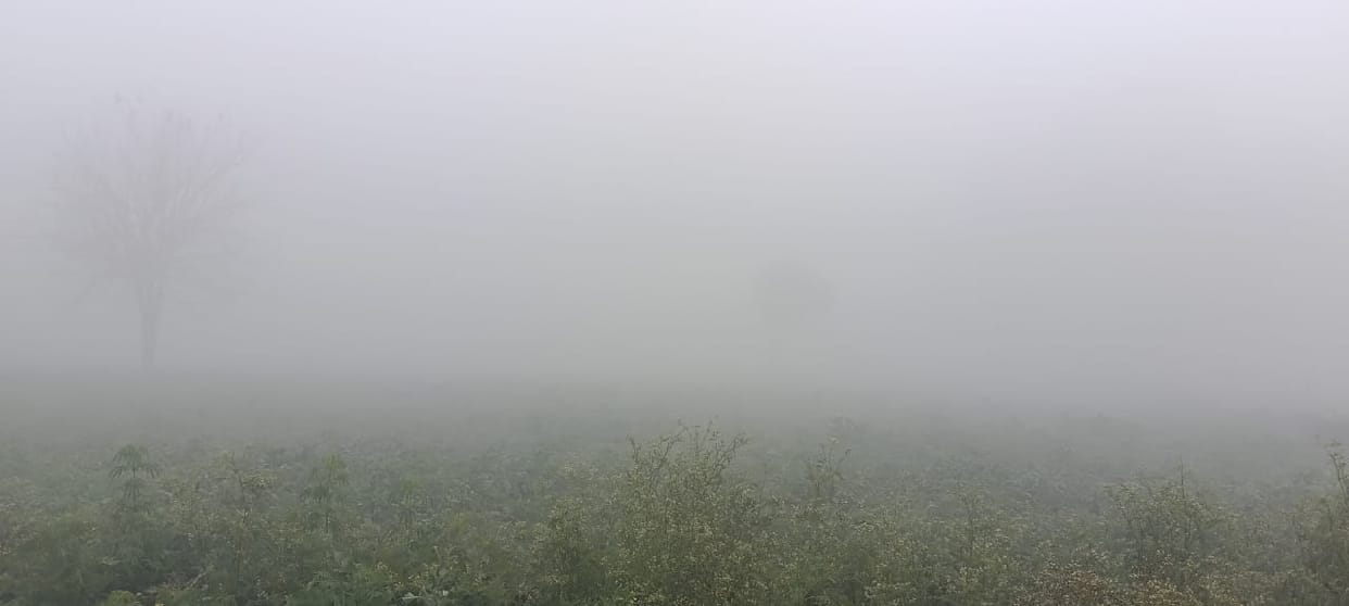 Sunshine shone in the city, fog prevailed in the village