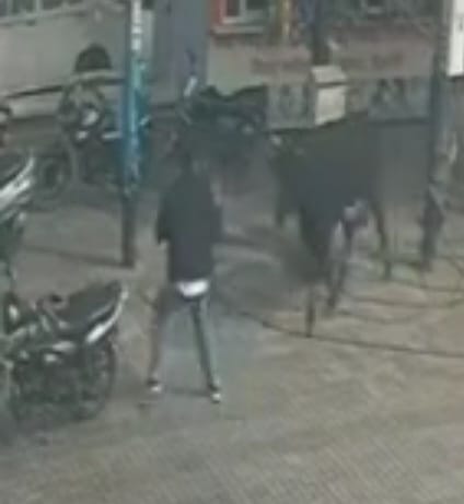 Restaurant owner injured after being hit by bull