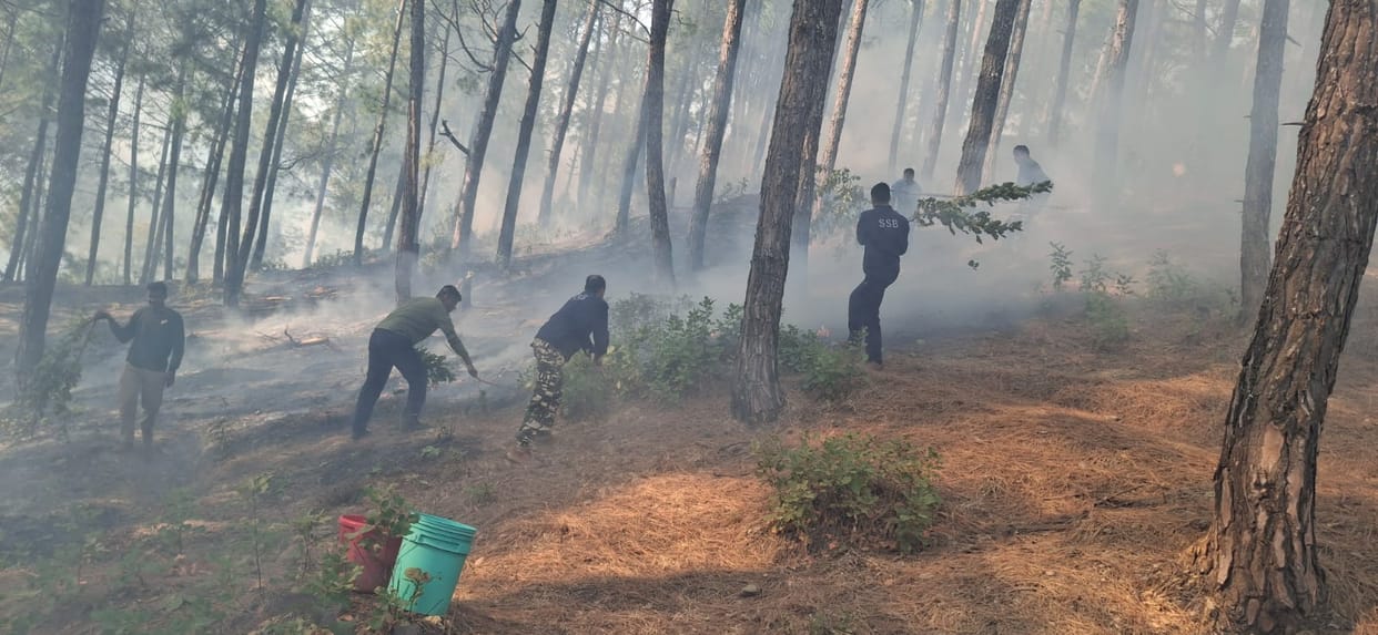 Forest fire reaches village on Nepal border, SSB extinguishes it