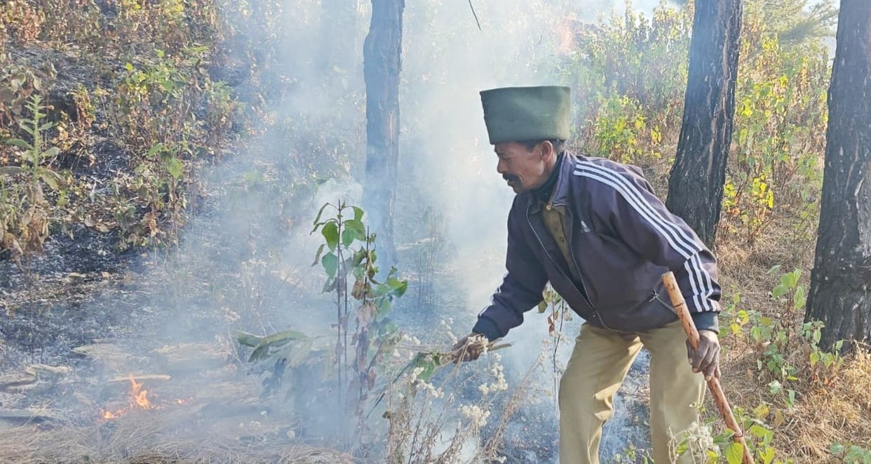 Pulna Bhyundar forest fire brought under control on the seventh day