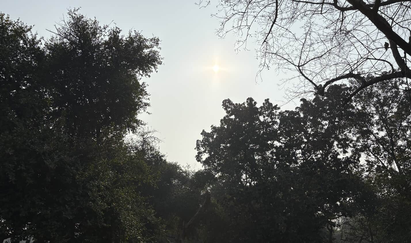 सुबह के समय निकल रहे भगवान भाष्कर। संवाद