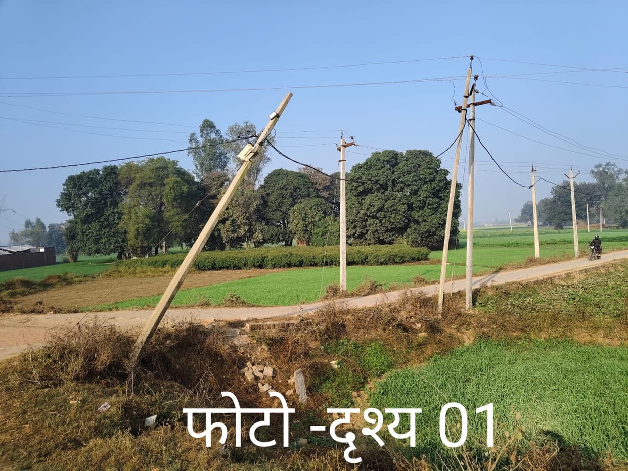 Electricity running between crooked poles and tree branches, risk of accident