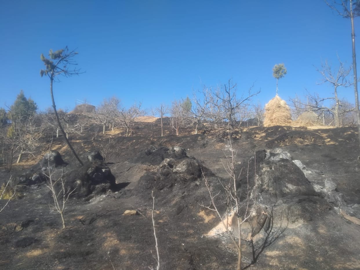 6,000 apple and pear trees burned in a fire in Ruslah